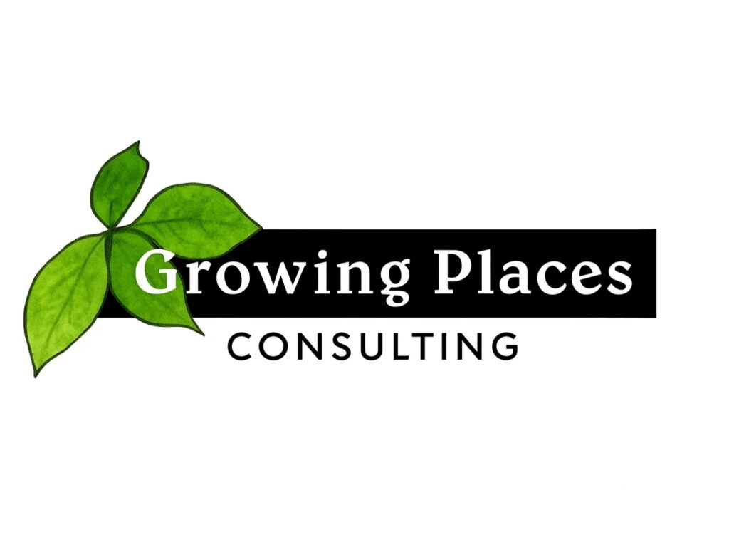 Fractional CEO COO | Growing Companies One Fraction at a Time